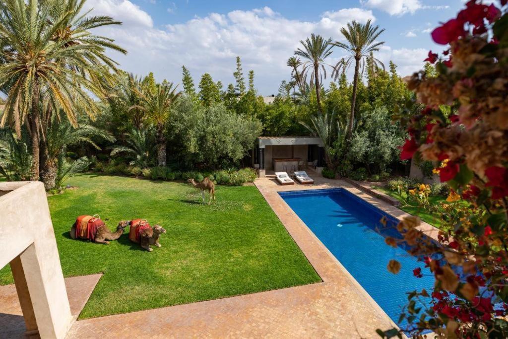 Villa Sahar Palmeraie Avec Piscine Chauffee ! Марракеш Екстер'єр фото